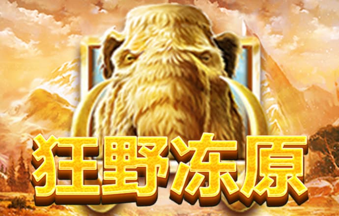 老鼠报论坛162019网址